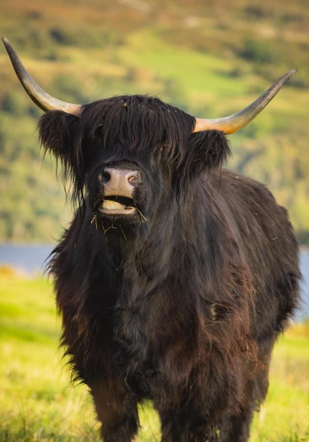Loch Ness Cottage Fort Augustus Εξωτερικό φωτογραφία